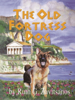 The Old Fortress Dog