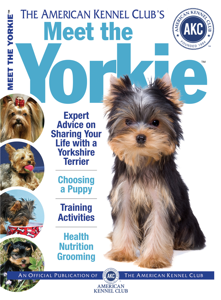 Meet the Yorkie by Dog Fancy Magazine Book Read Online