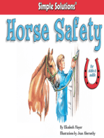 Horse Safety