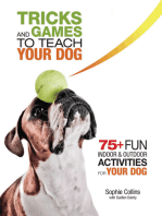 Tricks and Games to Teach Your Dog: 75+ Cool Activities to Bring Out Your Dog's Inner Star