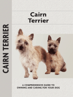 Cairn Terrier