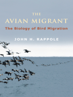 The Avian Migrant: The Biology of Bird Migration