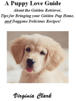 A Puppy Love Guide About the Golden Retriever, Tips for Bringing your Golden Pup Home, and Doggone Delicious Recipes!