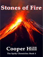 Stones of Fire, The Spidy Chronicles Book 3