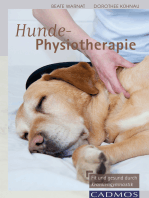 Hunde-Physiotherapie: Fit und gesund durch Krankengymnastik
