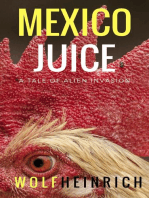 Mexico Juice