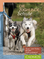 Die Zughunde-Schule: Tipps und Tricks für den Zughundesport