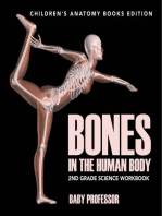 Bones in The Human Body: 2nd Grade Science Workbook | Children's Anatomy Books Edition