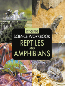 Read 1st Grade Science Workbook: Reptiles and Amphibians Online by Baby
