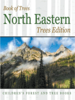 Book of Trees | North Eastern Trees Edition | Children's Forest and Tree Books