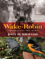 Wake-Robin