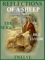 Reflections Of A Sheep: The Series - Book Twelve