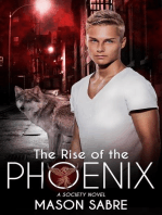 The Rise of the Phoenix: Society