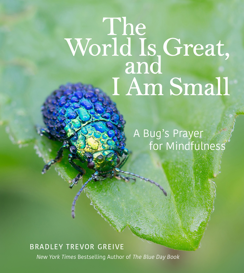 The World Is Great And I Am Small By Bradley Trevor Greive Ebook Scribd