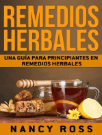 Remedios Herbales: Una Guía para Principiantes en Remedios Herbales