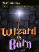 Wizard Born