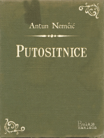 Putositnice