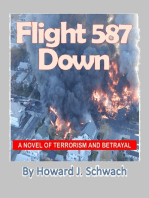 Flight 587 Down