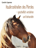Hautkrankheiten des Pferdes: ganzheitlich verstehen und behandeln