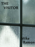 The Visitor