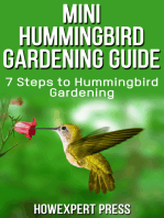 Mini Hummingbird Gardening Guide: 7 Steps to Hummingbird Gardening
