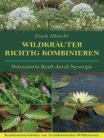 Wildkräuter richtig kombinieren