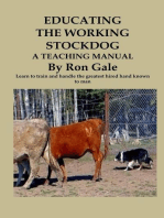 Educating the Working Stockdog