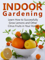Indoor Gardening: Learn How to Successfully Grow Lemons and Other Citrus Fruits in Your Home