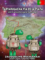 Tartarugas na Via de la Plata