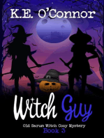 Witch Guy: Old Sarum Witch Cozy Mystery Series, #3