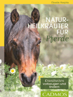 Naturheilkräuter für Pferde: Kranhheiten vorbeugen und lindern