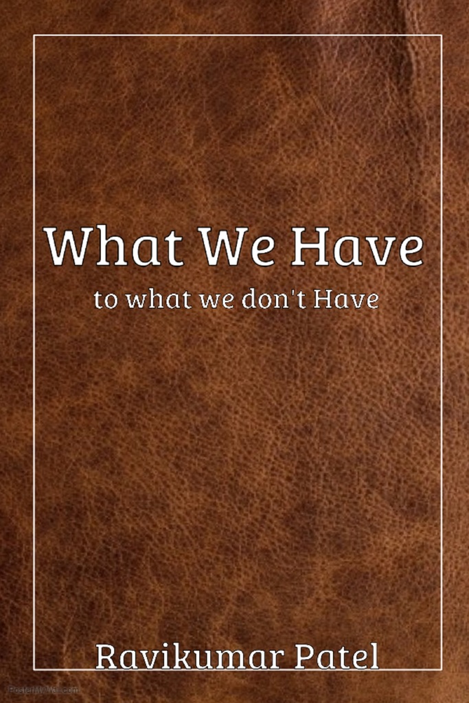 What We Have To What We Don't Have by Ravikumar Patel (Ebook) - Read ...