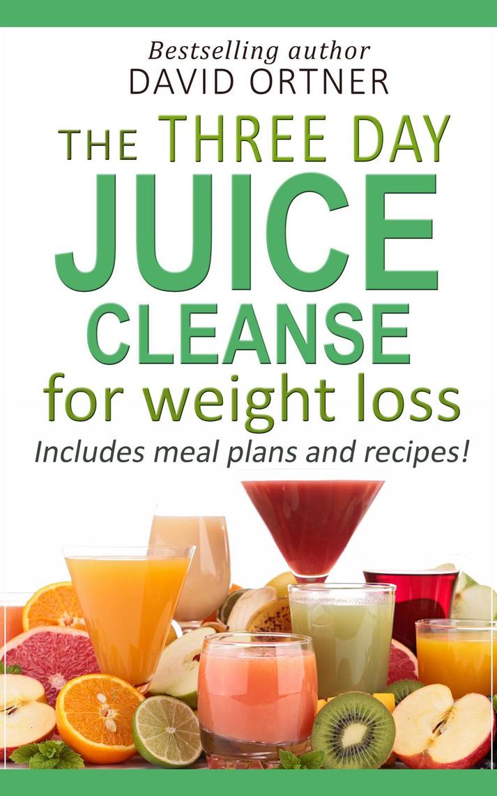 Read The 3Day Juice Cleanse Made Easy Online by David Ortner Books