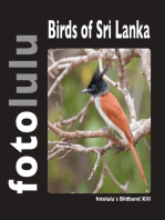 Birds of Sri Lanka: fotolulu's Bildband XIII