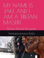 My Name is Jake and i am a Tibetan MastifI