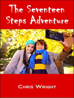 The Seventeen Steps Adventure
