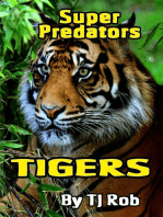 Tigers: Super Predators