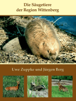 Die Säugetiere der Region Wittenberg