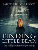 Finding Little Bear