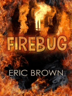 Fire Bug