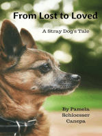 From Lost to Loved, A Stray Dog's Tale