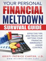 Your Personal Financial Meltdown Survival Guide: Effective Tips and Tricks for Getting Your Financial Emergency Under Control