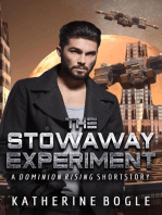 The Stowaway Experiment