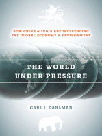 The World Under Pressure: How China and India Are Influencing the Global Economy and Environment