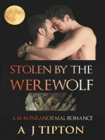 Stolen by the Werewolf: A M-M Paranormal Romance: Werewolves of Singer Valley, #1