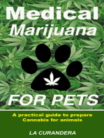 Medical Marijuana for Pets. A practical guide to prepare Cannabis for animals