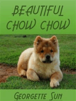 Beautiful Chow Chow