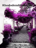 Rhododendronhagen