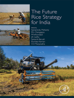 The Future Rice Strategy for India
