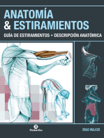 Anatomía & Estiramientos: Guía de estiramientos. Descripción anatómica  (Color)